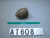 藏品(陀螺)的圖片